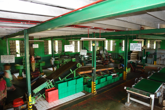       -,   (Nuwara Eliya - tea factory, Sri-Lanka)